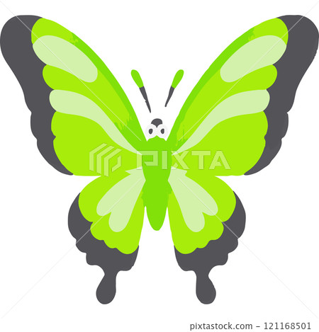 Butterfly Dancing Shadows Insect Species Nature 121168501
