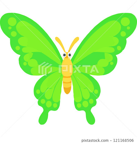 Butterfly Wings Golden Field Biodiversity Nature 121168506
