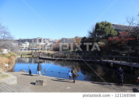 Kishine Park, Shinohara Pond (Kohoku Ward, Yokohama City) 121168566
