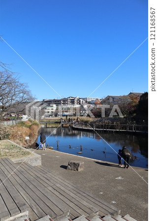 Kishine Park, Shinohara Pond (Kohoku Ward, Yokohama City) 121168567