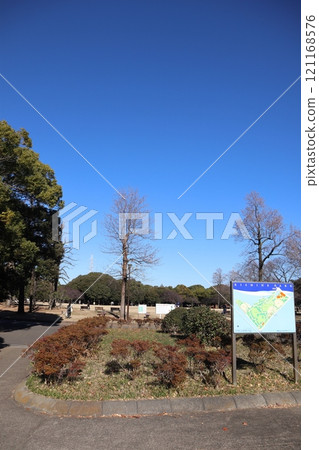 岸根公園（橫濱市港北區） 121168576