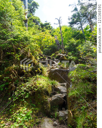 Narrow and steep mountain path Narrow and steep mountain path 121168591