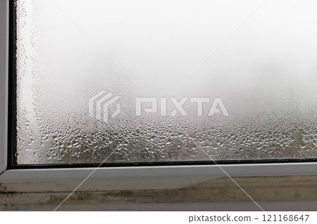 Black mold fungus growing on windows and condensation on the window glass. 121168647