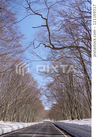 Waiting for spring 121169317