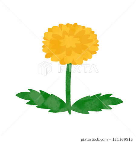 Hand-drawn dandelion flower illustration 121169512
