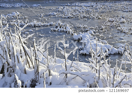 a wintry landscape of frozen marshland or a water body 121169697