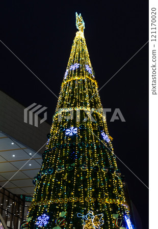 A Christmas tree at the railway station in Minsk. Christmas tree at night 121170020