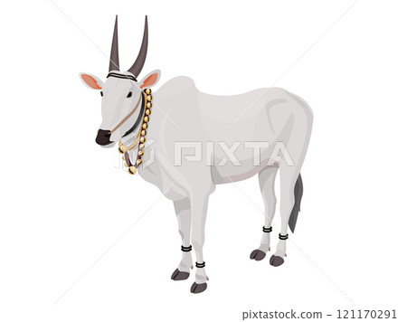 Indian Ox is decorated with various stuff for festivals 121170291