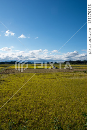 Autumn countryside 121170538