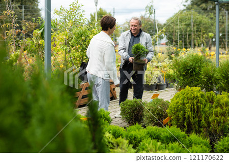 Elderly man and woman buy cypress at an open market Elderly man and woman buy cypress at an open market 121170622