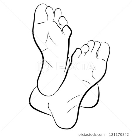Woman Feet, Human feet. sole, heel and toes, healthy skin, toenails, body part, human body anatomy elements, 121170842