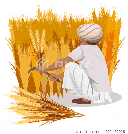 farmer harvesting wheat crops, indian agriculture farmer harvesting wheat crops, indian agriculture 121170938