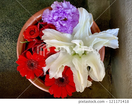 三月洗花（百合、康乃馨、非洲菊、玫瑰）<須鄉神社/愛知縣岡崎市> 121171418