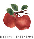 red apples with leaves isolated on white 121171764