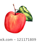 watercolor illustration of ripe red apple 121171809