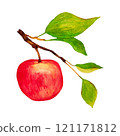 red apple with leaves isolated on white background 121171812