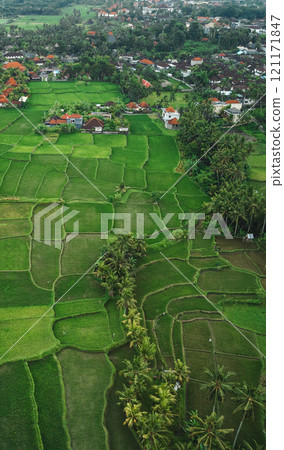 Green Rice Terrace in Asia. Bali, Indonesia. Top view Green Rice Terrace in Asia. Bali, Indonesia. Top view 121171847