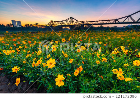Sunrise on Long Bien bridge, Hanoi capital, Vietnam with flower fields in foreground Sunrise on Long Bien bridge, Hanoi capital, Vietnam with flower fields in foreground 121172096