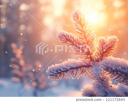 Frosted pine needles glowing in warm winter sunlight during a serene snowfall moment 121172643