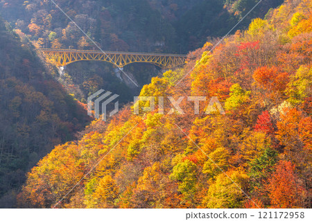 [埼玉縣] 紅葉覆蓋的甘坂大橋和秋天的奧道部 121172958