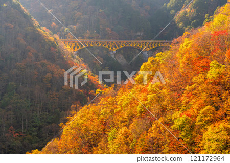 <Saitama Prefecture> Karisaka Bridge surrounded by autumn leaves, Okuchichibu in autumn 121172964