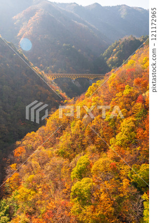 [埼玉縣] 紅葉覆蓋的甘坂大橋和秋天的奧道部 121172965