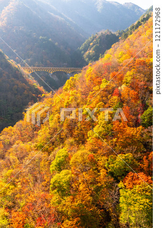 [埼玉縣] 紅葉覆蓋的甘坂大橋和秋天的奧道部 121172968