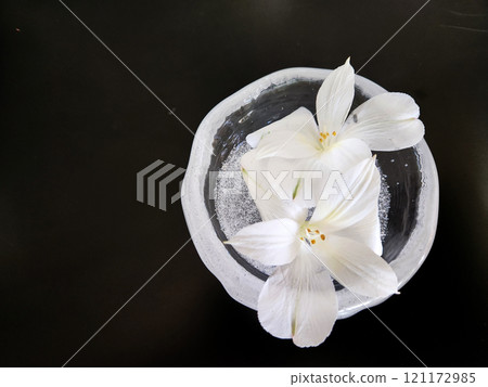 White flowers on a black background 121172985
