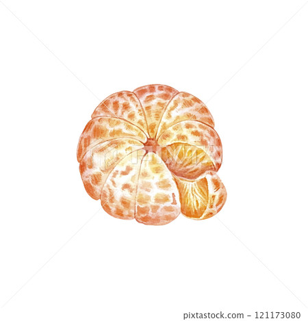 Peeled mandarin watercolor. Set of mandarin fruit design elements. Ripe orange watercolor. Orange fruit vitamin. Food illustration . juice citrus menu 121173080