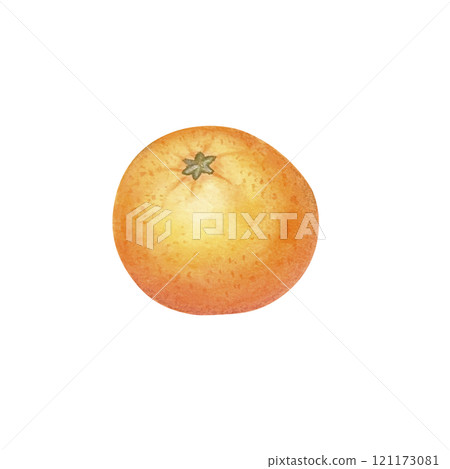 Peeled mandarin watercolor. Set of mandarin fruit design elements. Ripe orange watercolor. Orange fruit vitamin. Food illustration . juice citrus menu 121173081