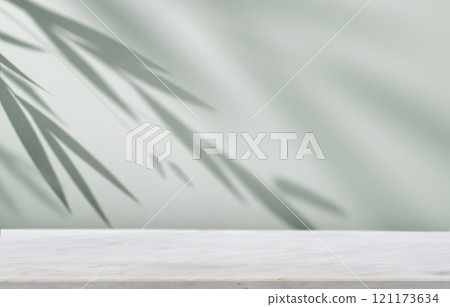 The Elegant Bamboo foliage Shadow on a Minimalist Background Creates a Soothing Atmosphere The Elegant Bamboo foliage Shadow on a Minimalist Background Creates a Soothing Atmosphere 121173634