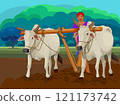 Traditional Indian framer using an ox to plow Paddy field for planting. 121173742