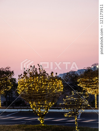 pink sunset sun over trees in winter dusk 121173911