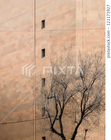 bare tree and building tiled with armenian tuff 121173927