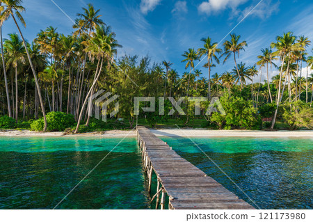 Paradise beach with coconut palm trees, ocean and wooden pier on tropical island. 121173980