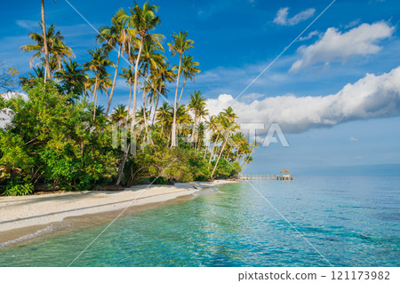 Sandy beach with palm trees and quiet sea on tropical island. Travel vacation banner. 121173982