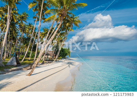 Sandy beach with palm trees and quiet sea on tropical island. Travel vacation banner. 121173983