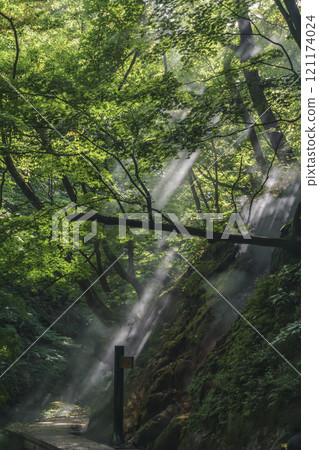 Onikobe Jigokudani Promenade Onikobe Jigokudani Promenade 121174024