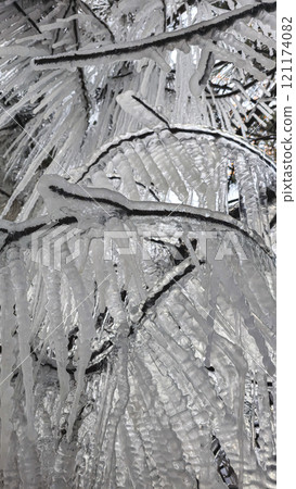 Spruce and pine branches covered with icicles Frozen trees in ice Winter weather Spruce and pine branches covered with icicles Frozen trees in ice Winter weather 121174082