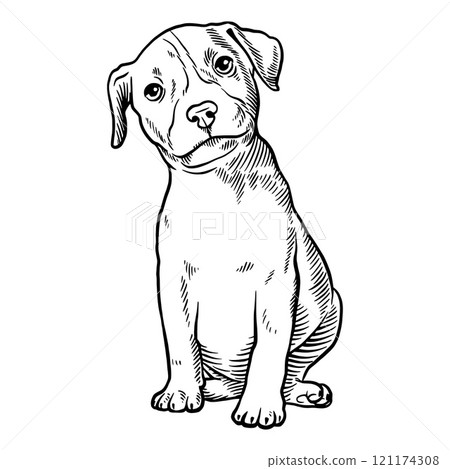 Puppy Pit Bull - Dog Breed, Puppy Breed Vector File, detailed vector Puppy Pit Bull - Dog Breed, Puppy Breed Vector File, detailed vector 121174308