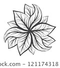 Abstract eco theme from black and white leaves 121174318