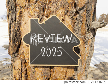 Planning review 2025 new year symbol. Concept words Review 2025 on beautiful yellow chalk blackboard. Beautiful old tree and sand background. Business review 2025 new year concept. Copy space. 121174614