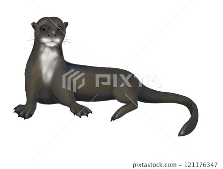 坐著的巨水獺的插圖 121176347