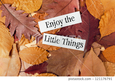 Pile of autumn leaves with the words enjoy the little things Pile of autumn leaves with the words enjoy the little things 121176791