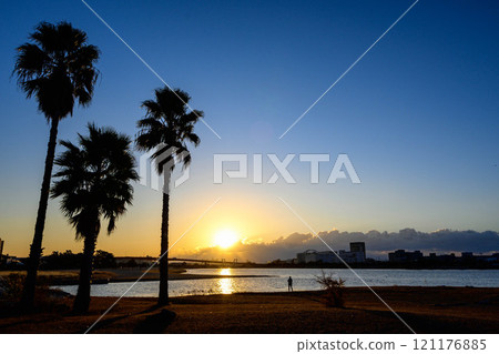 西宮市 Kojien 棕櫚樹剪影的黎明 121176885