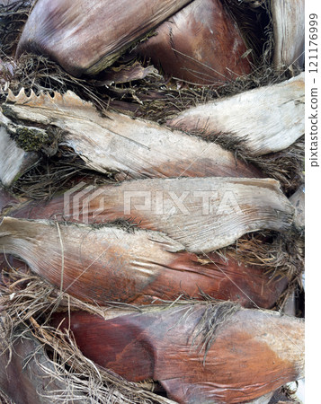 Texture of Dried Palm Fronds and Leaves Stacked Together for Decoration 121176999