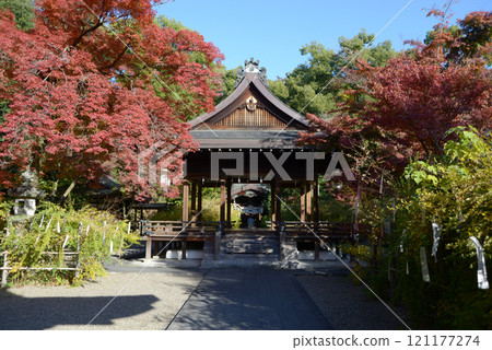 京都市上京區梨木神社禮拜堂及秋葉 121177274