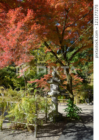 京都市上京區梨木神社、秋葉和石燈籠 121177278