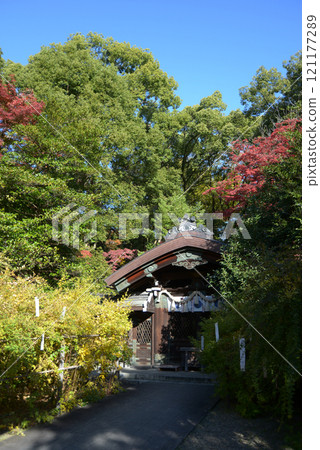 Nashiki Shrine, main hall and autumn leaves, Kamigyo Ward, Kyoto City 121177289