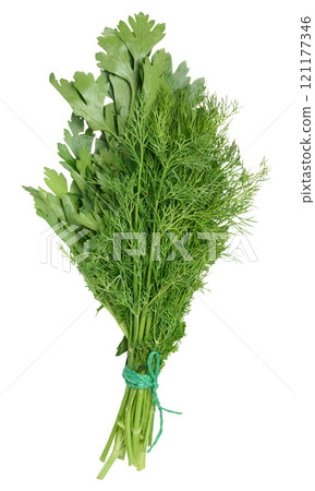 Bunch of fresh dill and parsley on isolated background Bunch of fresh dill and parsley on isolated background 121177346